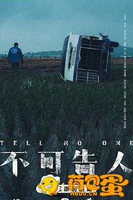 不可告人 Tell No One（2024）4K EDR 高码率 国语中字 全12集完结