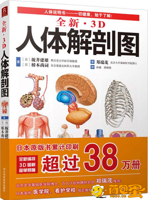 《全新3D人体解剖图》严重推荐 了解熟悉人体结构 一切健康 始于了解[pdf]