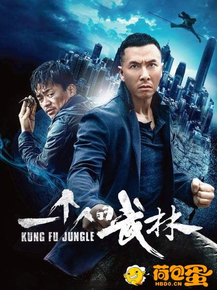 一个人的武林2014.1080p 国粤双语 甄子丹、王宝强，近20位功夫高手齐聚一堂